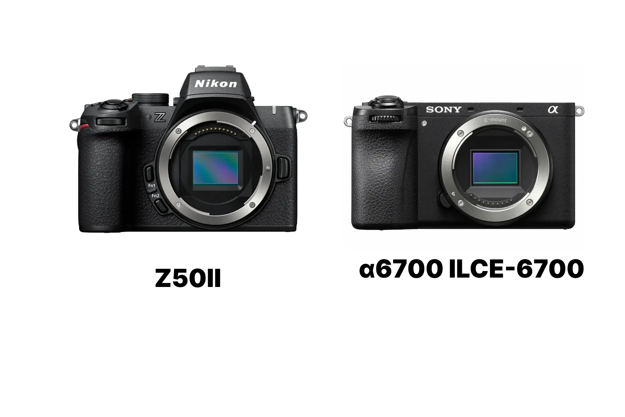 Nikon Z50IIとSony α6700を徹底比較！静止画・動画・手ブレ補正で見る